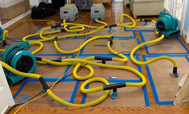 Professional Crawl Space Water Removal technician working in Emmons, MN